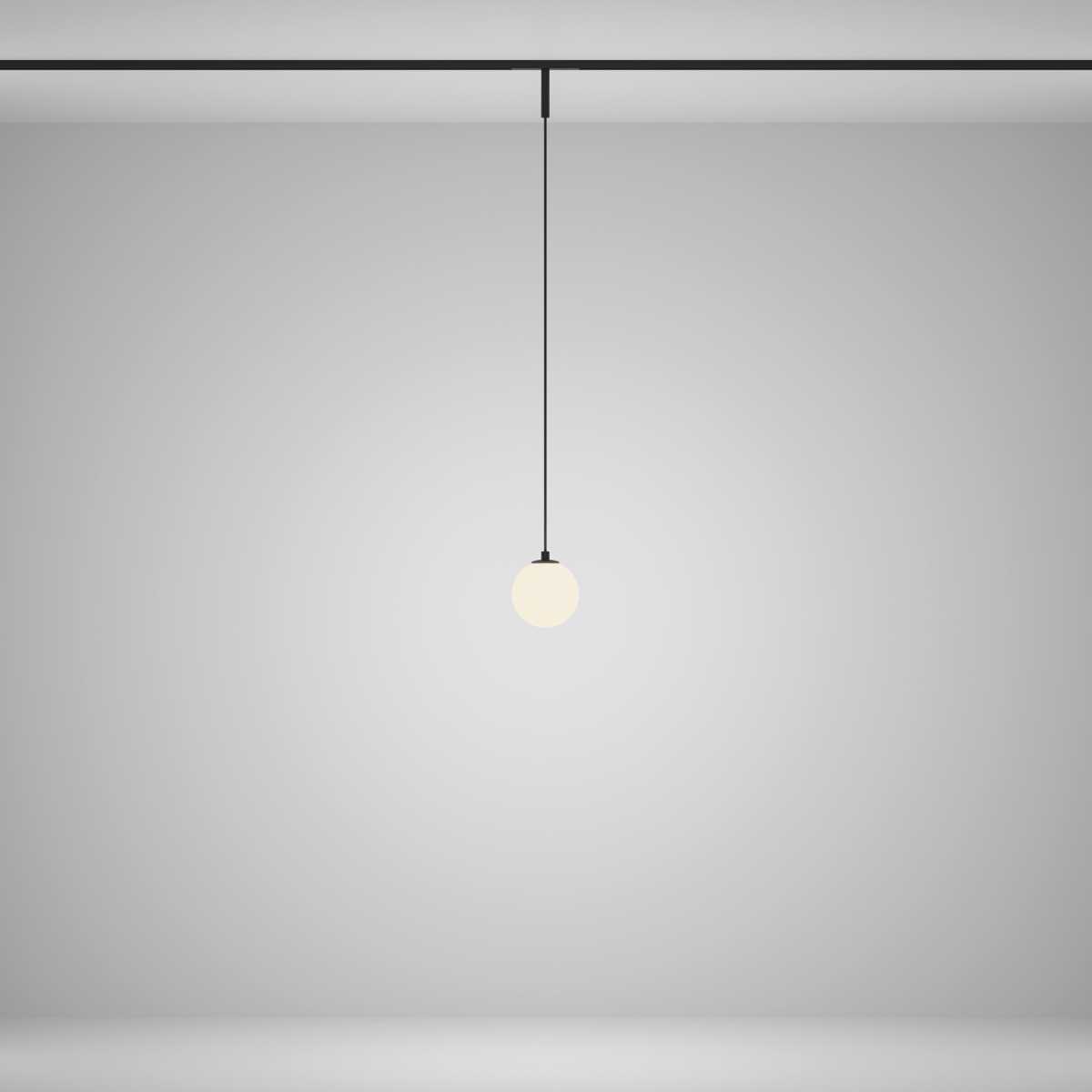 Трековый подвесной светильник Maytoni Technical TR178-1-5WTW-B