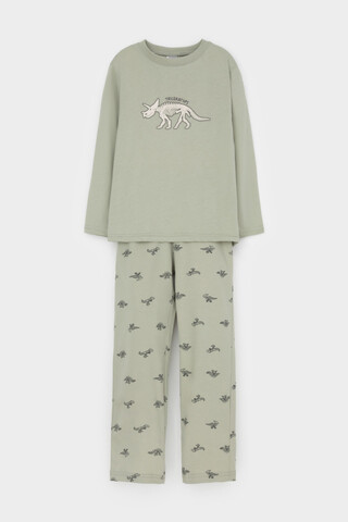 пижама  для мальчика  К 1600/шалфей,маленькие динозавры