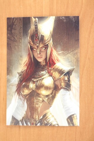 Женщина рыцарь