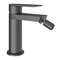 Aqueduto GEO0545 AQD GEOMETRICO Смеситель для биде, оружейная сталь фото