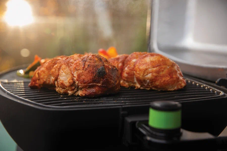 Электрический гриль Napoleon TravelQ 285 PRO