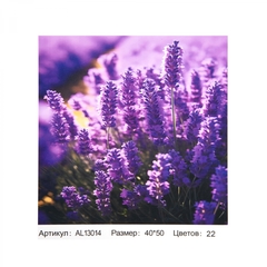 
          Картина по номерам Alingar, 40х50 см, 22 цвета, с акриловыми красками, холст на подрамнике, "Запах лаванды"