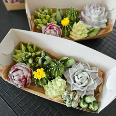 Зефир «Кактусы» / 24*10 см