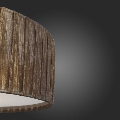 Светильник потолочный ST Luce Rondella SL357.702.05