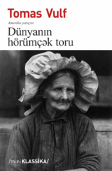 Dünyanın hörümçək toru