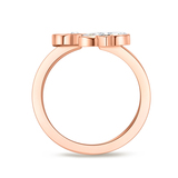 CERRUTI 1881 CIJLF0007202-3