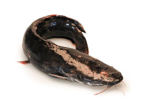 Кармут замороженный~1кг