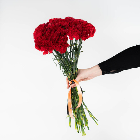 Букет из 25 гвоздик