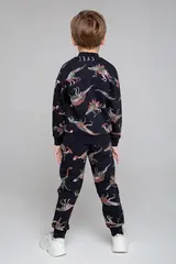 брюки  для мальчика  КР 400443/черный,динозавры