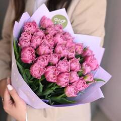 31 пионовидный сиреневый тюльпан