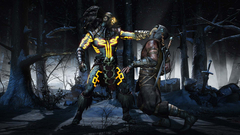 Mortal Kombat X (для ПК, цифровой код доступа)