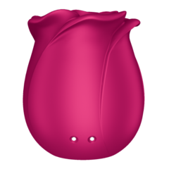 Вакуумно-волновой стимулятор Satisfyer Pro 2 Classic Blossom (имитация струи воды)