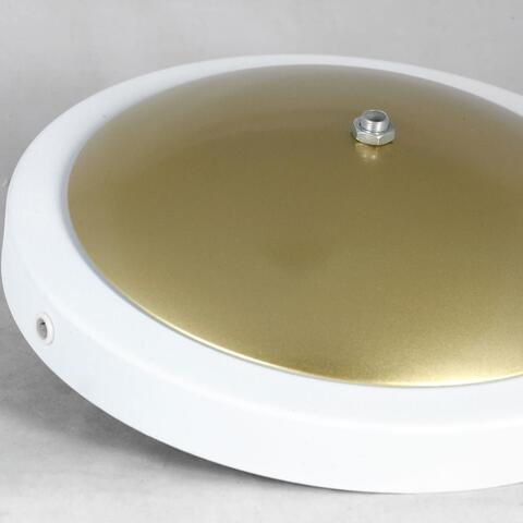 Торшер Lussole Marion LSP-0625
