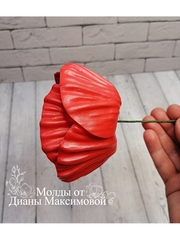 Молд пластиковый+вайнер силиконовый 