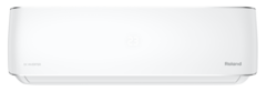 Roland MAESTRO Inverter RDI-MS12HSS/R1
