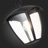 Светильник уличный подвесной ST Luce Sivino SL081.403.01