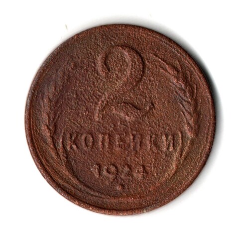 2 копейки 1924 гладкий гурт VF (8)
