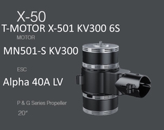 Набор ВМГ T-Motor X-501 KV300 6S Coaxial / Соосный (MN501-S KV300 2шт + ESC Alpha 40A LV 6S 2шт + мотормаунт)