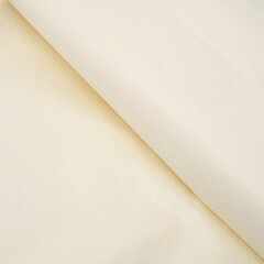 Бумага упаковочная тишью 50 х 66 см 134540