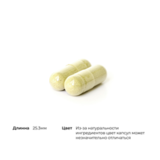 Фитопрофен, Phytoprofen, Thorne Research, 60 капсул 4