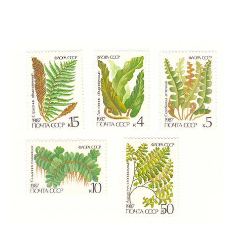 Полная серия марок " Папоротники" (5марок)