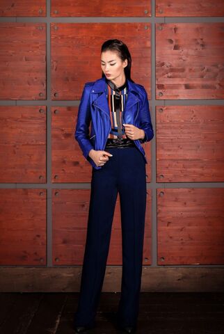 Fall/Winter 2017 Limited edition