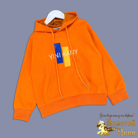 Толстовка трикотаж м (5-9) 250823-NB483