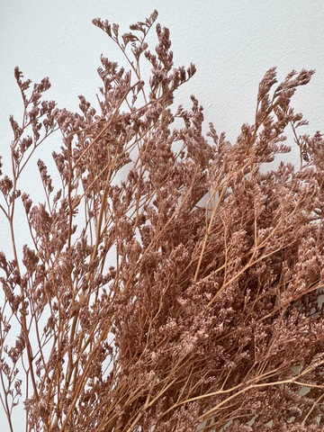 Кермек выбеленный Светло-коричневый