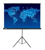 Экран Cactus 84" 150x150см Triscreen CS-PST-150x150 1:1 напольный рулонный черный