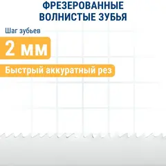 Пилки для лобзика по стали ПРАКТИКА тип T318BF 132 х 110 мм, быстрый рез, BIM (2шт.) (038-760)