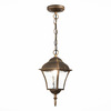 Светильник уличный подвесной ST Luce Domenico SL082.203.01