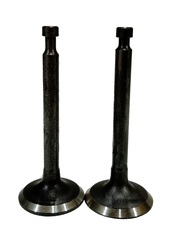 Клапаны (пара) G160-200F,LC168F-2H,LC170F-2/500550024-0001