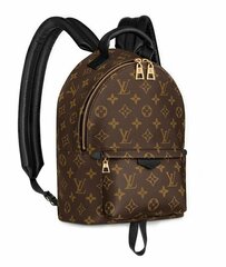 Рюкзак Louis Vuitton Palm Springs PM коричневый
