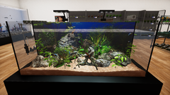 Aquatic Store Simulator (для ПК, цифровой код доступа)