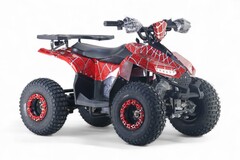 Детский электрический квадроцикл RiverToys LEON 1200W