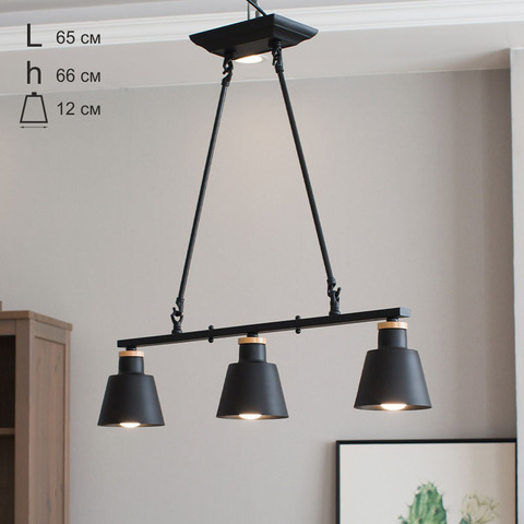 Подвесной светильник Home Light Астерия MMD-LED A070-3-3xE27 черный