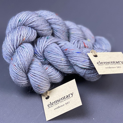 Носочная пряжа «Улики» (Evidences), 20 г