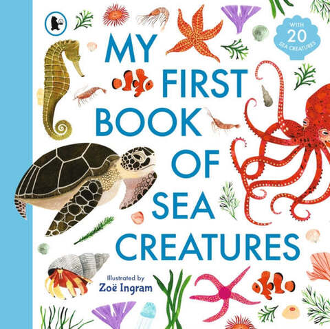 My First Book of Sea Creatures - Zoe Ingram's My First Book Of…