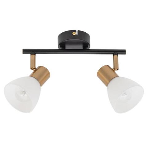 Потолочный светильник Arte Lamp FALENA A3117PL-2BK