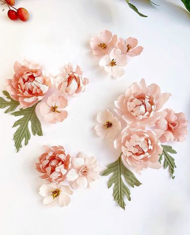 Набор розовых хризантем