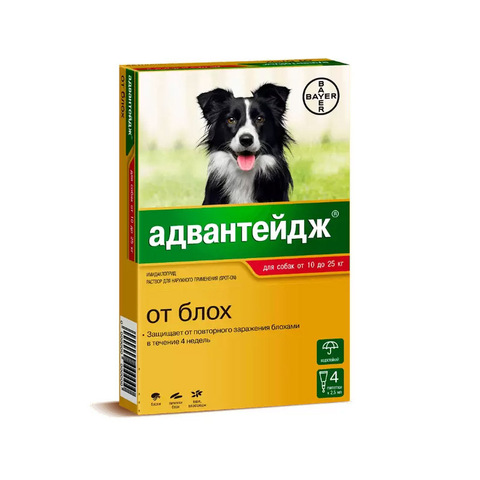 Адвантейдж для собак 10-25 кг упаковка (4 пипетки)