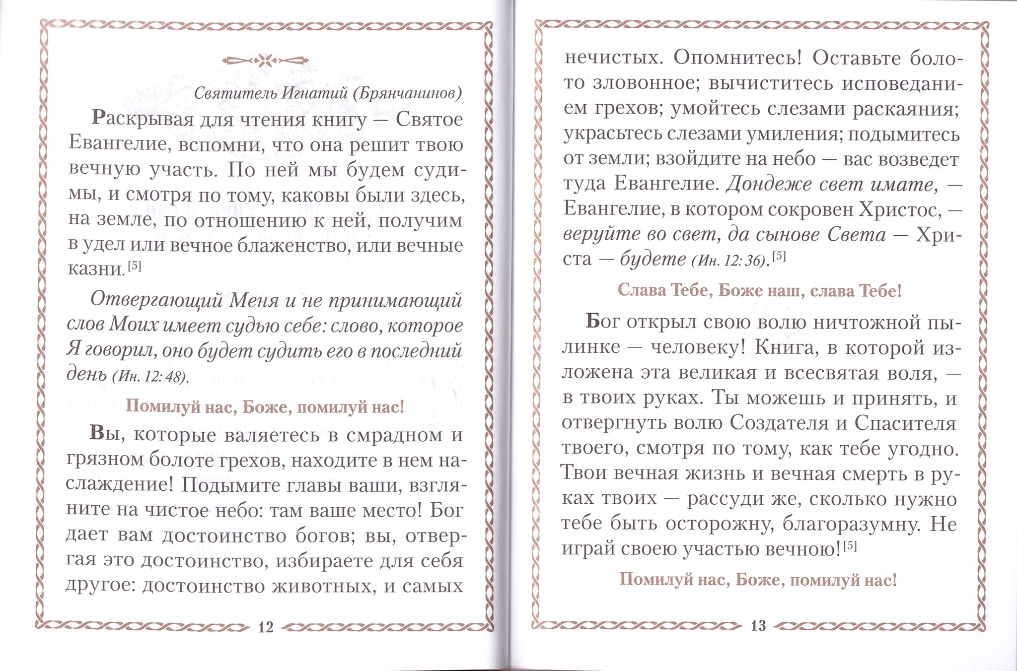 Святое Евангелие на русском языке. Великая сила Евангелия. Подарочный  комплект из 2 книг (в коробке) - купить по выгодной цене | Уральская  звонница