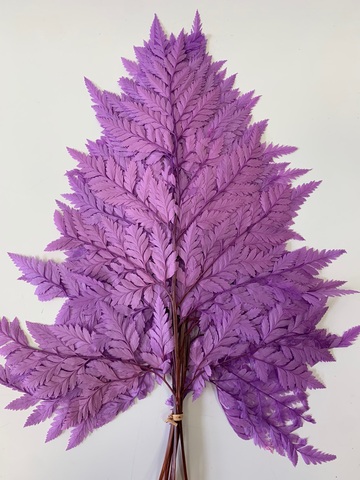 Листья папоротника Сирень (упаковка)