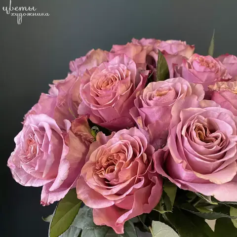 Пёрпл Мун(Purple Moon)