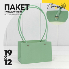 
          Пакет подарочный 19х12х10.5см Ваза для цветов (Зеленый)
