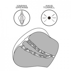 Двойной мастурбатор Streetgirl's № 4 (вагина+анус)