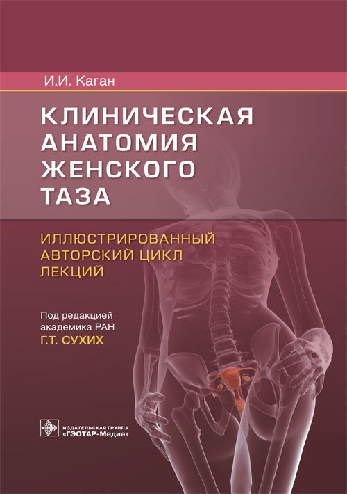 Акушерство и гинекология Клиническая анатомия женского таза : иллюстрированный авторский цикл лекций b22ab16b8af54e76b79387e4d046e4ae.jpeg