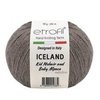 Пряжа Etrofil Iceland 06136 (Какао)