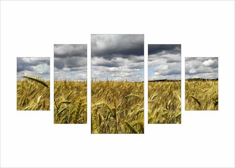 Модульная картина - Пшеничное поле