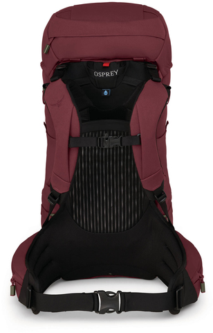 Картинка рюкзак туристический Osprey Archeon 45 W's Mud Red - 3